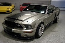 SHELBY GT500 SUPER SNAKE /Req449