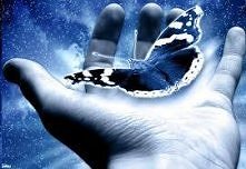 magia pięknej natury