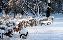 spacerek  do parku ?