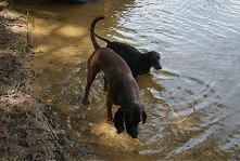 wspólne kąpanko ;-)