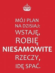 best plan ever ^^