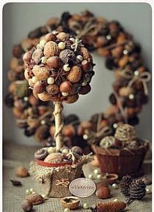 drzewko orzechowe na zimę :)