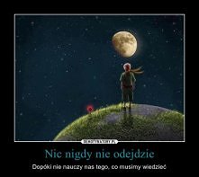 Bo życie to czas, żeby nauczyć się żyć.