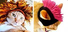 Kocie czapki 2