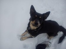 Zimowe szaleństwa :)