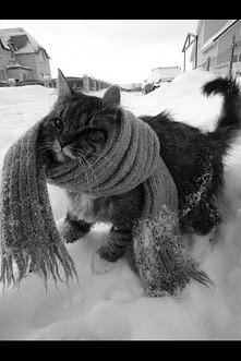 w szaliczku nie zmarznie :3