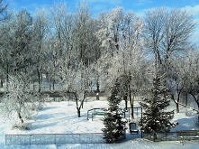 widok z mojego okna :)