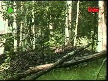 Bóg i Jego stworzenie, którzy zaprzeczają ewolucji cz1