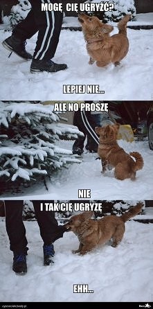 Ale no proszę..