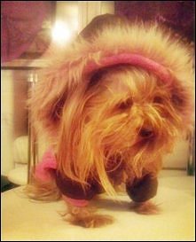 pamiętaj żeby zimą ubrać te...