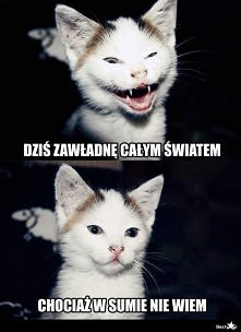 hahhahahhahahhahhahahhahhah...