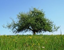 Moje  i misia miejsce <3...