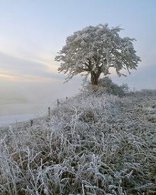 wspaniale to wygląda