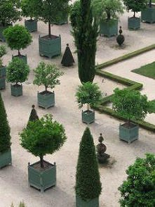 W zimie zaplanuj swój ogród