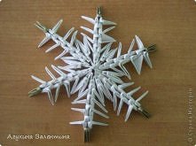 zima