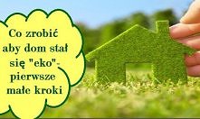 Małe kroki, które pomogą uczynić Twój dom „eko”.