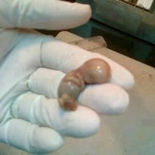 -"Cześć Mamo, to ja......