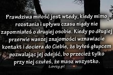 <333