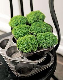 YeYe Gardening Ideas