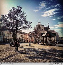 Rzeszów.
