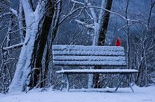 "Najgorsza jest walka ...