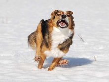 Przegonię siebie samego w tej zimowej szacie