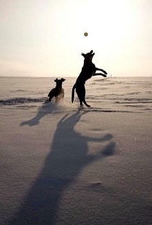 No widzisz młody jak to się...