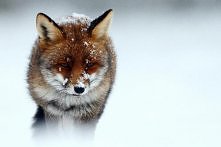 i dokąd teraz mam iść ? nie widzę drogi przed sobą