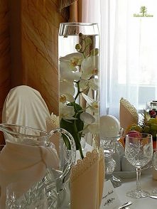 dekoracja ślubna - storczyk