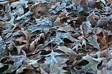 ...mroźny dzień :)