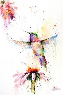 Taki wspaniały koliber