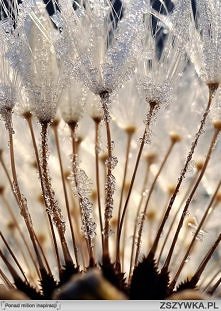 OMG zamrożone ddmuchawce!