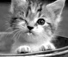 O jejku jaki słodziak !