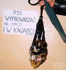 Nie wolno łamać prawa ;)