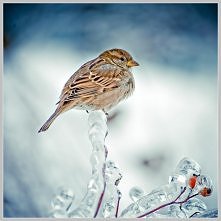 "Głód można znieść tylko wówczas, gdy nie ma nadziei na zdobycie pożywienia."