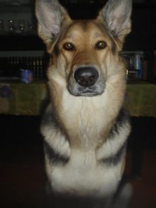 piękna jestem - LUŚKA