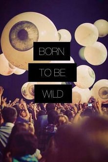 born to be wild :D