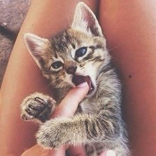 kiciak <3