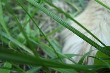 Każda chwila jest piękna :)