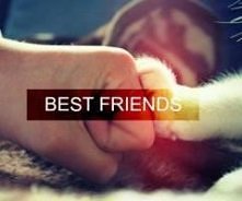 Best Friends