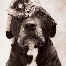 tyle problemów na głowie...