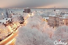 Piękny widok, ale tylko na ...