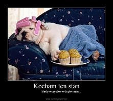 Kocham ten stan, kiedy wszystko w dupie mam...