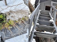 domek na drzewie zimą