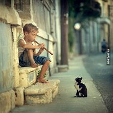 boy n cat