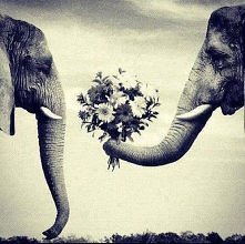 how sweet :)