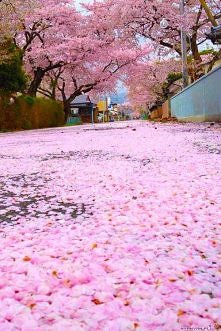 Ślicznie, chcę tam być i si...
