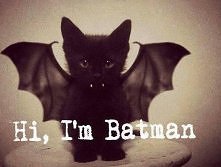 Hi,Im batman... hehe