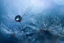 facebook . com / mojespojrzenienaswiat