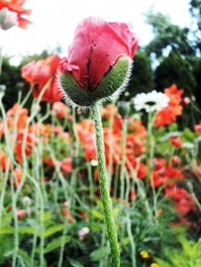 "Robić zdjęcia, to zat...